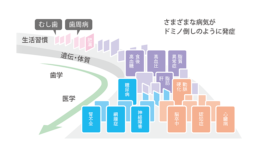 歯周病と全身疾患
